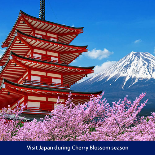 2027 Japan Music Cruise/Tour